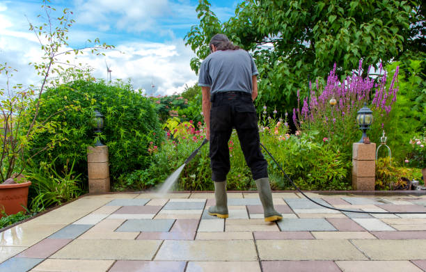 Best Sidewalk and Walkway Pressure Cleaning in Cleveland, TX